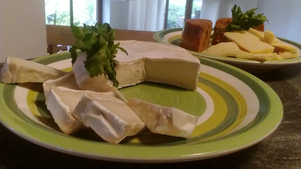 Queijo vegetal de castanha de caju, cortado em fatias num prato